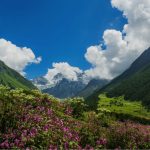 valley of flowers trek valley of flowers trek