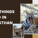 11 Best Things to Do in Rajasthan 11 Best Things to Do in Rajasthan