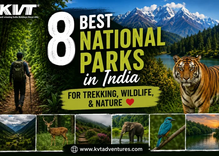 Best National Parks in India