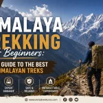 Himalaya Trekking for Beginners